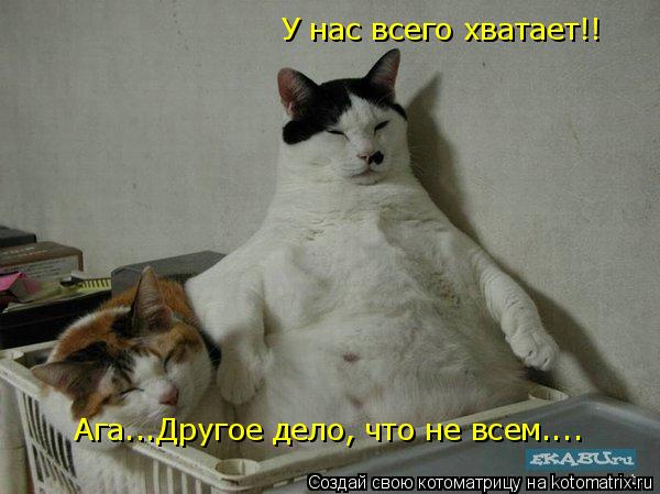 Ага...Другое дело, что не всем.... У нас всего хватает!!... Котоматрица: Ага...Другое дело, что не всем.... У нас всего хватает!!