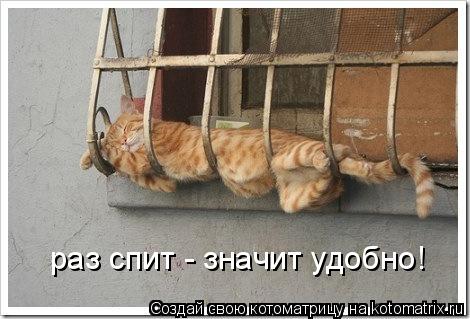 раз спит - значит удобно!... Котоматрица: раз спит - значит удобно!