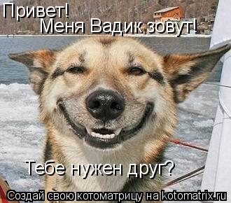 Привет! Меня Вадик зовут! Тебе нужен друг?... Котоматрица: Привет! Меня Вадик зовут! Тебе нужен друг?