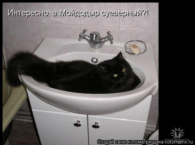 Интересно, а Мойдодыр суеверный?!... Котоматрица: Интересно, а Мойдодыр суеверный?!