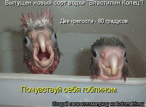 Выпущен новый сорт водки "Властилин Колец"! Две крепости - 80 градусов. Почувствуй себя гоблином.... Котоматрица: Выпущен новый сорт водки "Властилин Колец"! Две крепости - 80 градусов. Почувствуй себя гоблином.