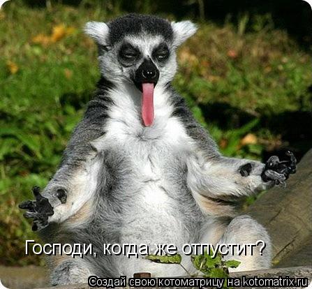 Господи, когда же отпустит?... Котоматрица: Господи, когда же отпустит?