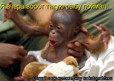Котоматрица: Я вчера вооот такую рыбу поймал!