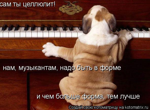 сам ты целлюлит! нам, музыкантам, надо быть в форме и чем больше форма, тем лучше... Котоматрица: сам ты целлюлит! нам, музыкантам, надо быть в форме и чем больше форма, тем лучше