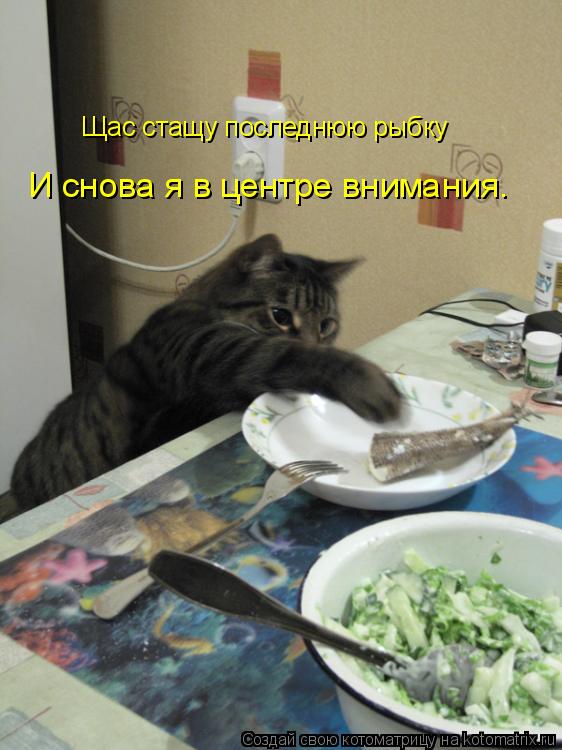 Щас стащу последнюю рыбку И снова я в центре внимания.... Котоматрица: Щас стащу последнюю рыбку И снова я в центре внимания.