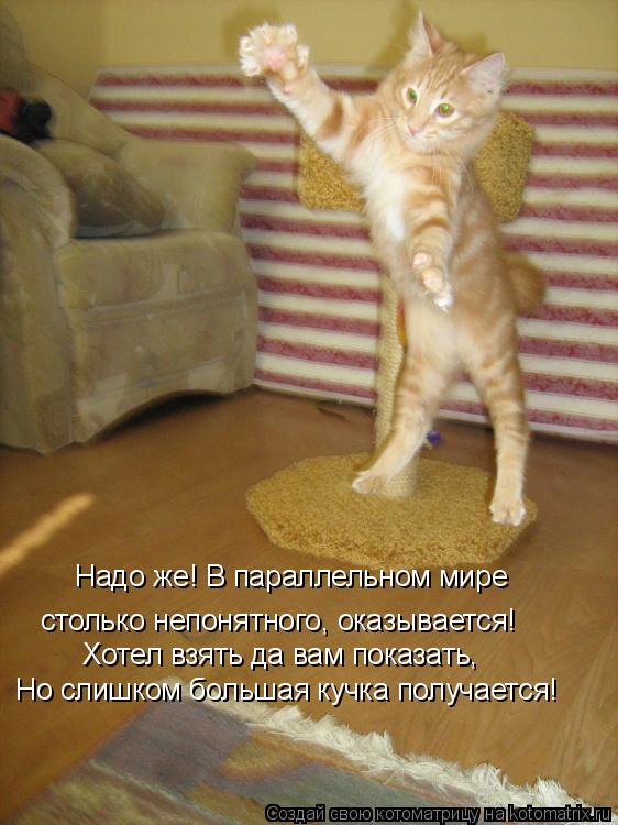 Надо же! В параллельном мире столько непонятного, оказывается! Хотел взять да вам показать, Но слишк... Котоматрица: Надо же! В параллельном мире столько непонятного, оказывается! Хотел взять да вам показать, Но слишком большая кучка получается!