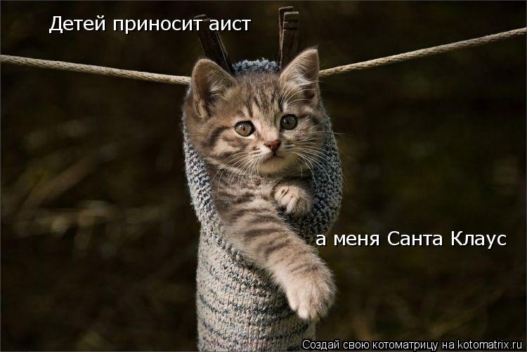 Детей приносит аист а меня Санта Клаус... Котоматрица: Детей приносит аист а меня Санта Клаус