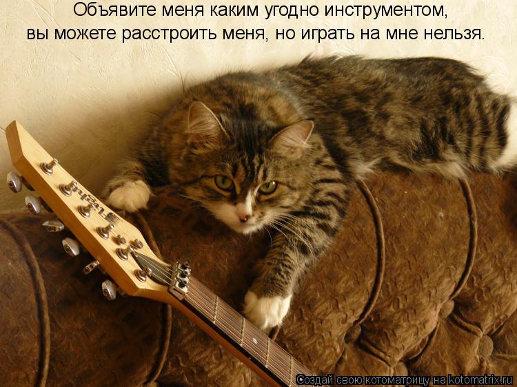 Объявите меня каким угодно инструментом, вы можете расстроить меня, но играть на мне нельзя.... Котоматрица: Объявите меня каким угодно инструментом, вы можете расстроить меня, но играть на мне нельзя.