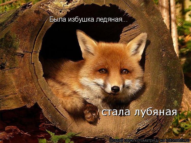 Была избушка ледяная... стала лубяная... Котоматрица: Была избушка ледяная... стала лубяная