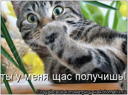 ты у меня щас получишь!... Котоматрица: ты у меня щас получишь!