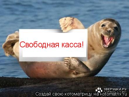 Свободная касса!... Котоматрица: Свободная касса!