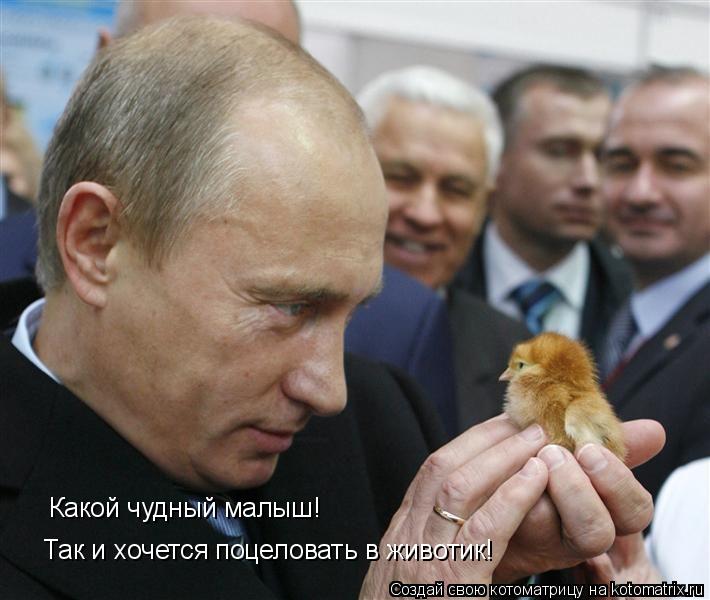 Какой чудный малыш! Так и хочется поцеловать в животик!... Котоматрица: Какой чудный малыш! Так и хочется поцеловать в животик!