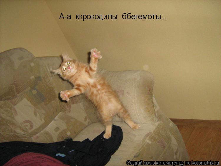 А-а ккрокодилы ббегемоты...... Котоматрица: А-а ккрокодилы ббегемоты...