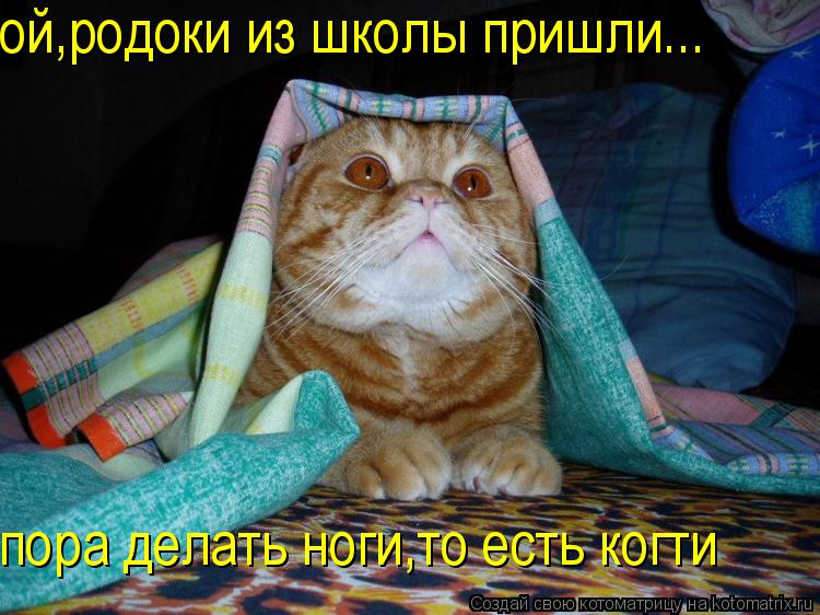 ой,родоки из школы пришли... пора делать ноги,то есть когти... Котоматрица: ой,родоки из школы пришли... пора делать ноги,то есть когти