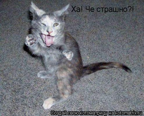 Котоматрица: Ха! Че страшно?!
