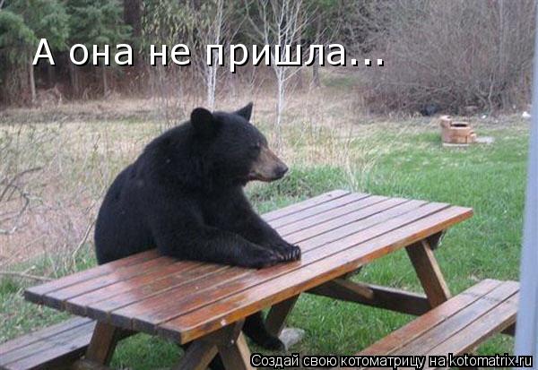 А она не пришла...... Котоматрица: А она не пришла...