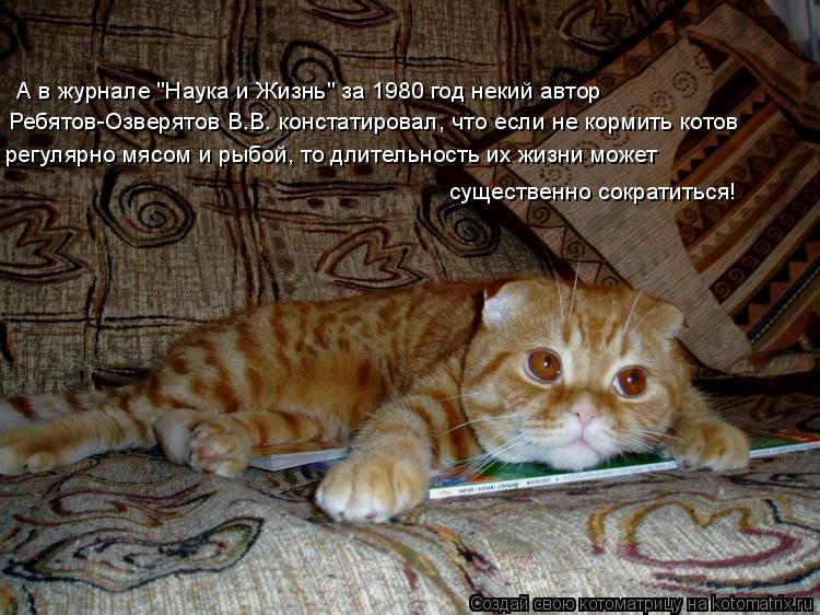 А в журнале "Наука и Жизнь" за 1980 год некий автор Ребятов-Озверятов В.В. констатировал, что если н... Котоматрица: А в журнале "Наука и Жизнь" за 1980 год некий автор Ребятов-Озверятов В.В. констатировал, что если не кормить котов регулярно мясом и рыбой, то