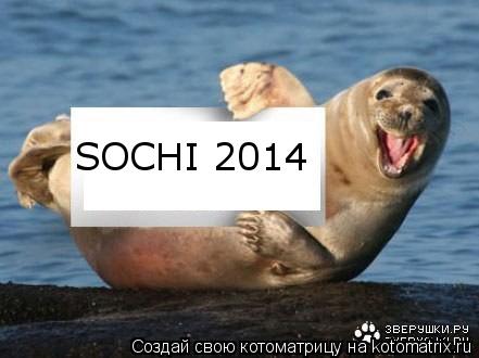 SOCHI 2014... Котоматрица: SOCHI 2014