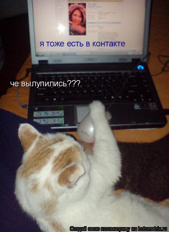 че вылупились??? я тоже есть в контакте... Котоматрица: че вылупились??? я тоже есть в контакте