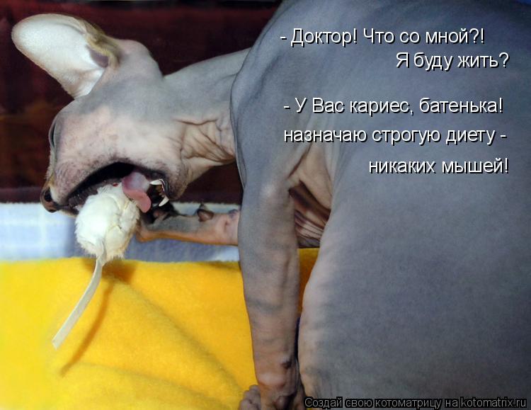 Котоматрица: - Доктор! Что со мной?! Я буду жить? - У Вас кариес, батенька! назначаю строгую диету - никаких мышей!