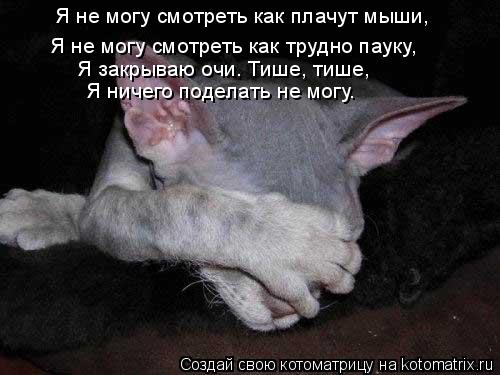 Котоматрица: Я не могу смотреть как плачут мыши, Я не могу смотреть как трудно пауку, Я закрываю очи. Тише, тише, Я ничего поделать не могу.