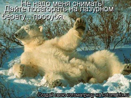 Не надо меня снимать! Дайте позагорать на лазурном берегу... прорубя.... Котоматрица: Не надо меня снимать! Дайте позагорать на лазурном берегу... прорубя.