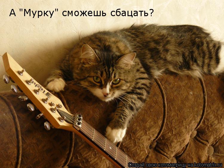 А "Мурку" сможешь сбацать?... Котоматрица: А "Мурку" сможешь сбацать?