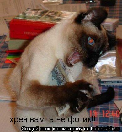 хрен вам ,а не фотик!!... Котоматрица: хрен вам ,а не фотик!!