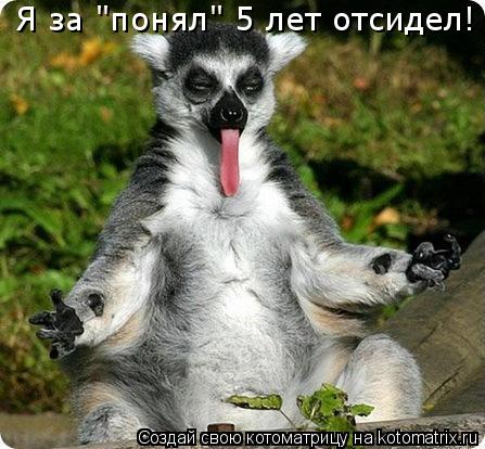 Я за "понял" 5 лет отсидел!... Котоматрица: Я за "понял" 5 лет отсидел!
