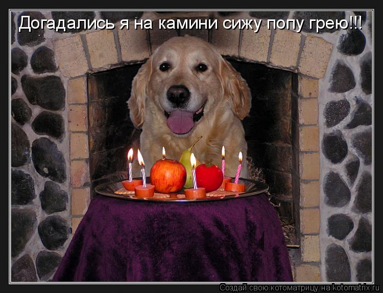 Догадались я на камини сижу попу грею!!!... Котоматрица: Догадались я на камини сижу попу грею!!!