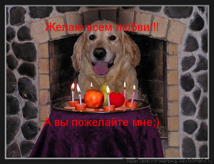 Желаю всем любви!!! А вы пожелайте мне;)... Котоматрица: Желаю всем любви!!! А вы пожелайте мне;)