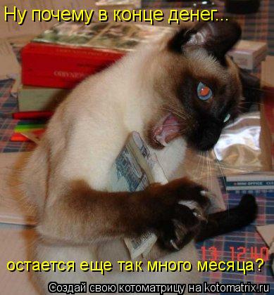 Ну почему в конце денег... остается еще так много месяца?... Котоматрица: Ну почему в конце денег... остается еще так много месяца?