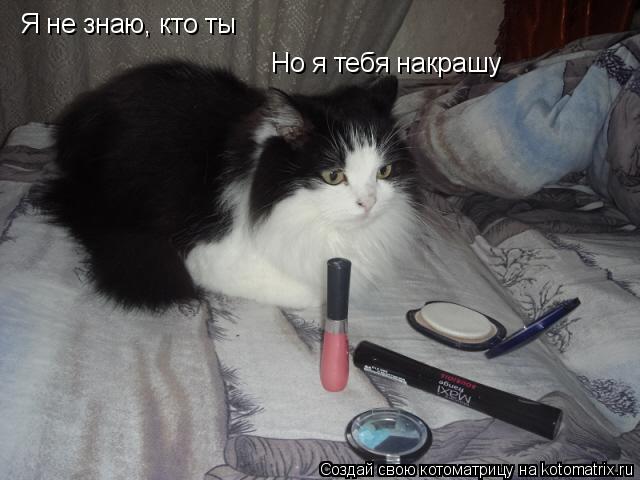 Я не знаю, кто ты Но я тебя накрашу... Котоматрица: Я не знаю, кто ты Но я тебя накрашу
