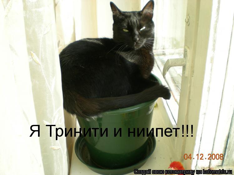 Я Тринити и ниипет!!!... Котоматрица: Я Тринити и ниипет!!!