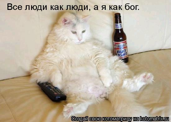 Все люди как люди, а я как бог.... Котоматрица: Все люди как люди, а я как бог.