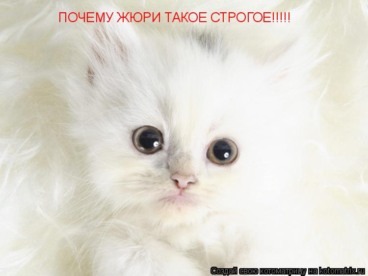 ПОЧЕМУ ЖЮРИ ТАКОЕ СТРОГОЕ!!!!!... Котоматрица: ПОЧЕМУ ЖЮРИ ТАКОЕ СТРОГОЕ!!!!!