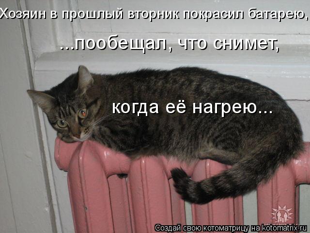 Хозяин в прошлый вторник покрасил батарею, ...пообещал, что снимет, когда её нагрею...... Котоматрица: Хозяин в прошлый вторник покрасил батарею, ...пообещал, что снимет, когда её нагрею...