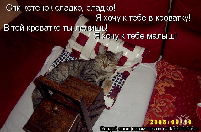 Спи котенок сладко, сладко! Я хочу к тебе в кроватку! В той кроватке ты лежишь! Я хочу к тебе малыш!... Котоматрица: Спи котенок сладко, сладко! Я хочу к тебе в кроватку! В той кроватке ты лежишь! Я хочу к тебе малыш!