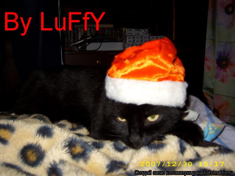 By LuFfY... Котоматрица: By LuFfY