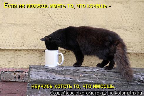 Если не можешь иметь то, что хочешь - научись хотеть то, что имеешь.... Котоматрица: Если не можешь иметь то, что хочешь - научись хотеть то, что имеешь.