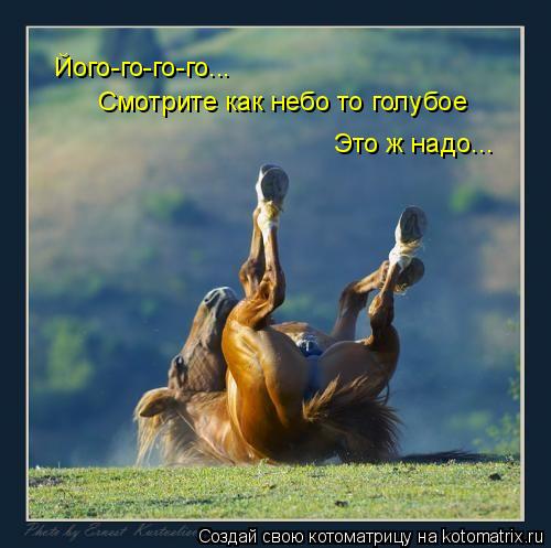Його-го-го-го... Смотрите как небо то голубое Это ж надо...... Котоматрица: Його-го-го-го... Смотрите как небо то голубое Это ж надо...