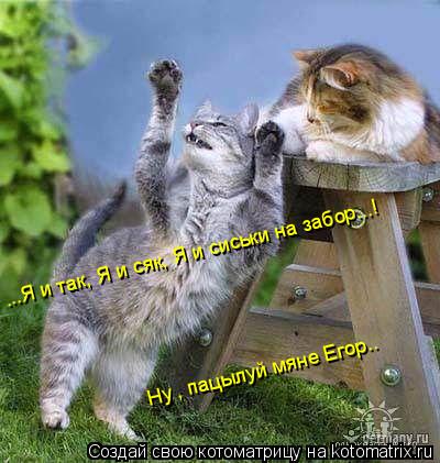 ...Я и так, Я и сяк, Я и сиськи на забор...! Ну , пацылуй мяне Егор..... Котоматрица: ...Я и так, Я и сяк, Я и сиськи на забор...! Ну , пацылуй мяне Егор..