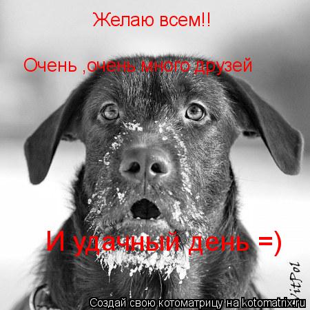 Желаю всем!! Очень ,очень много друзей И удачный день =)... Котоматрица: Желаю всем!! Очень ,очень много друзей И удачный день =)