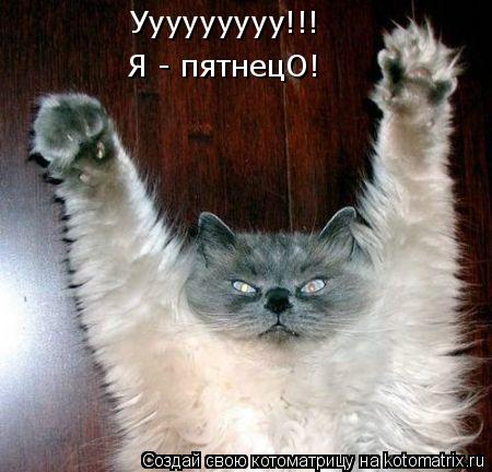 Котоматрица: Ууууууууу!!! Я - пятнецО!