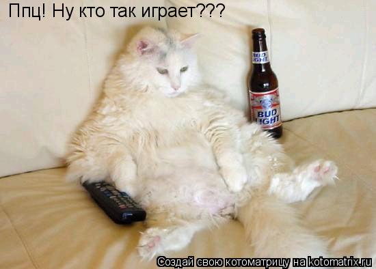 Котоматрица: Ппц! Ну кто так играет???