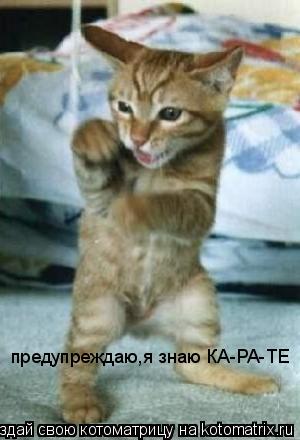 предупреждаю,я знаю КА-РА-ТЕ... Котоматрица: предупреждаю,я знаю КА-РА-ТЕ