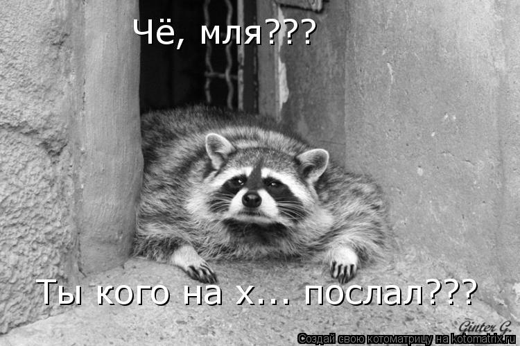 Чё, мля??? Ты кого на х... послал???... Котоматрица: Чё, мля??? Ты кого на х... послал???