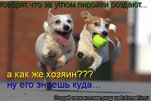 говорят,что за углом пирожки роздают... а как же хозяин??? ну его знаешь куда...... Котоматрица: говорят,что за углом пирожки роздают... а как же хозяин??? ну его знаешь куда...