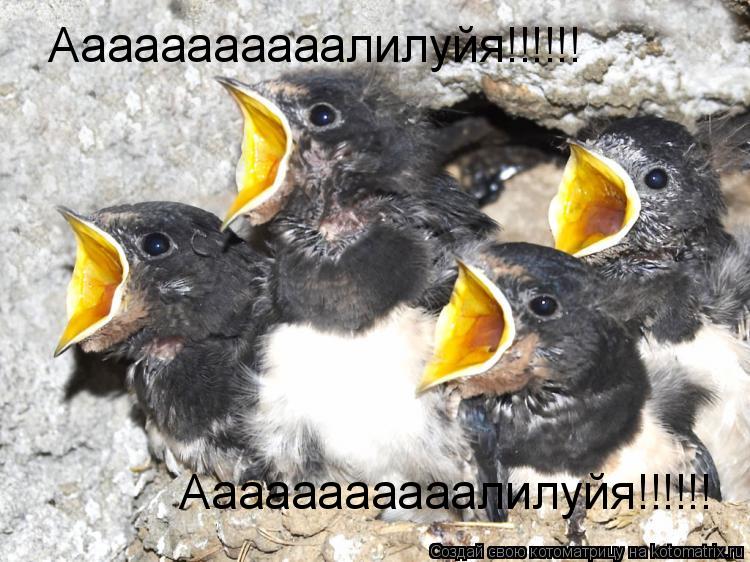 Ааааааааааалилуйя!!!!!! Ааааааааааалилуйя!!!!!!... Котоматрица: Ааааааааааалилуйя!!!!!! Ааааааааааалилуйя!!!!!!