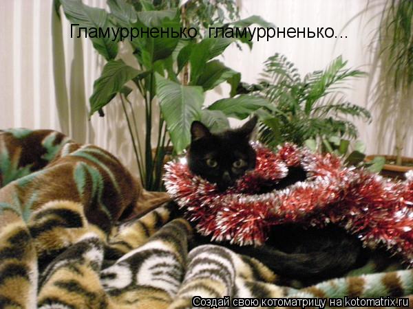 Гламуррненько гламуррненько...... Котоматрица: Гламуррненько гламуррненько...
